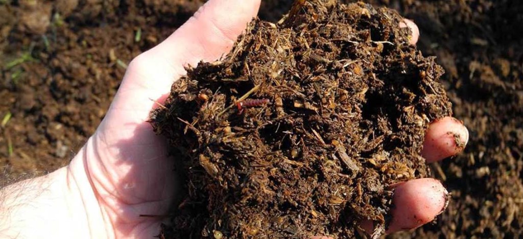 fertilita_terreno copia