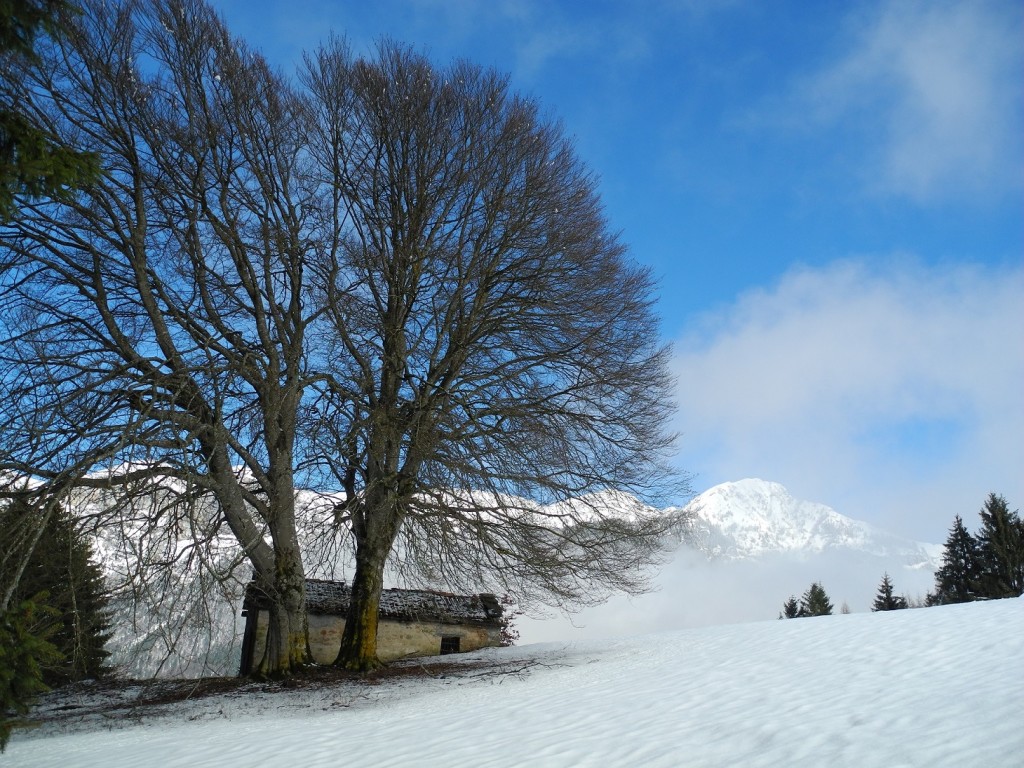 Monte Avena