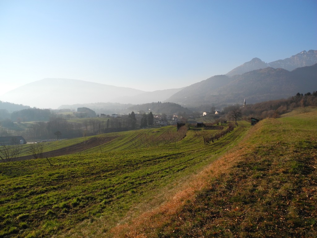 Vignui tra i prati