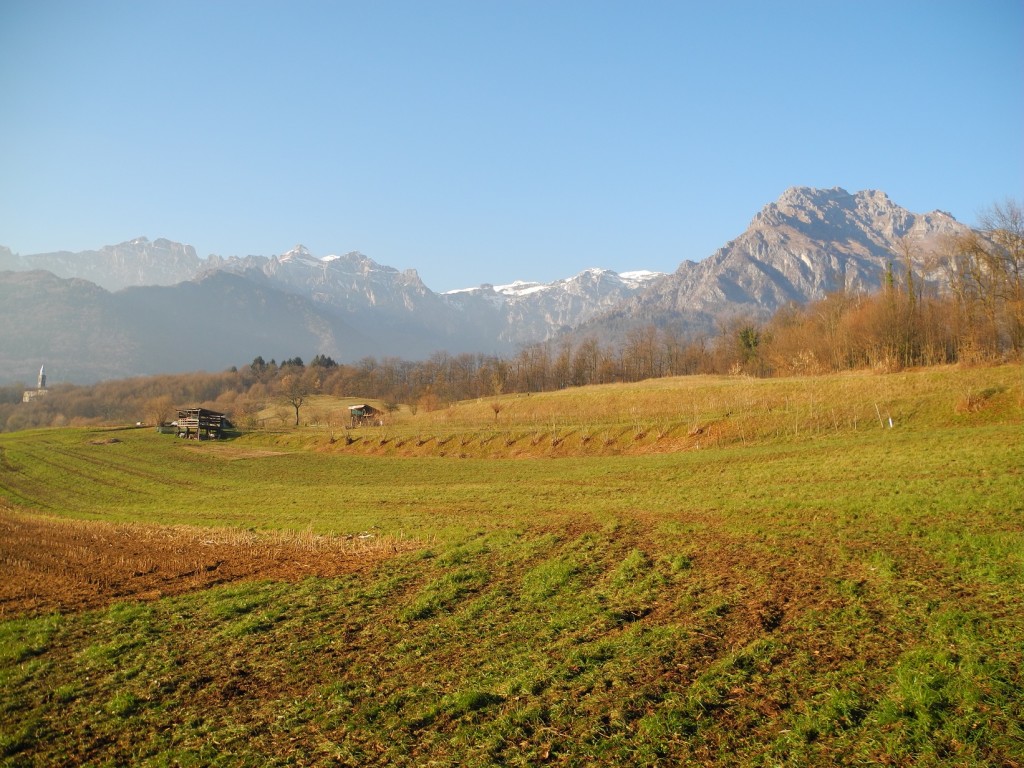 Vignui tra i campi e le vette feltrine