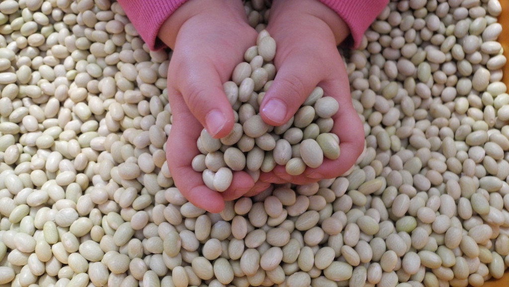 gestialpestri_mani_fagioli4