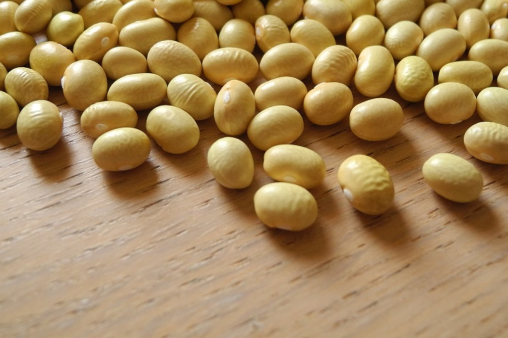 Fagioli Gialet prodotto