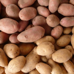 Le Patate di Montagna