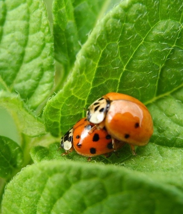 Secondo i ritmi della natura