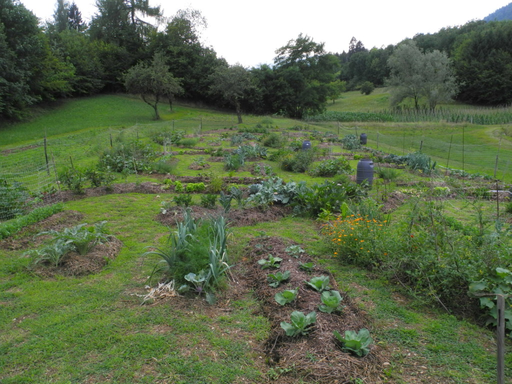 Gli orti in Adozione 2