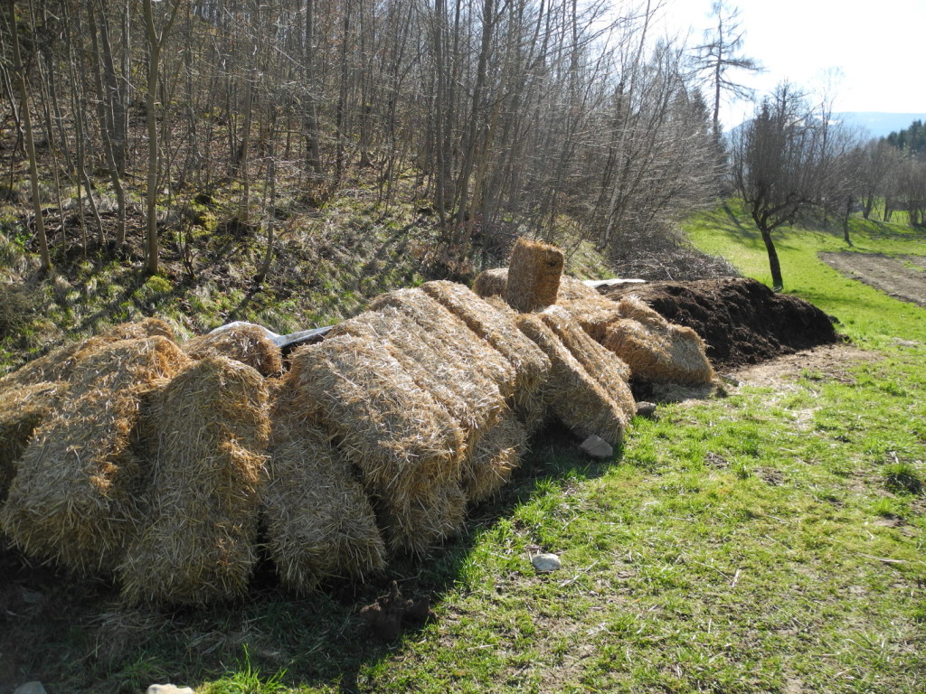Paglia, concimeme e rami per la concimazione e paciamatura dei campi